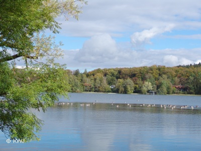 Foto: Welinger See in der Ammersee-Region