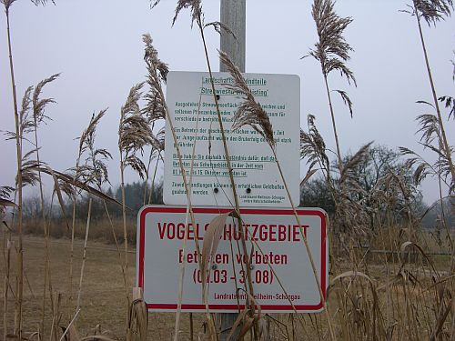 Foto: Raisting - Vogelschutzgebiet  Ammersee-Süd